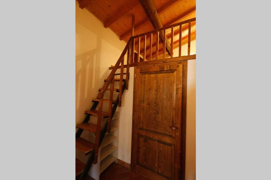 Villa Con Piscina 10 Posti Letto, L'Oliveta Di Rivalto 基亚恩尼 外观 照片