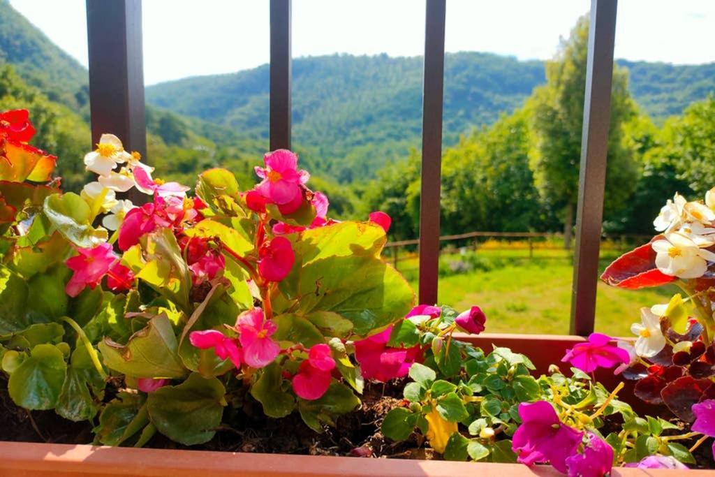 Villa Con Piscina 10 Posti Letto, L'Oliveta Di Rivalto 基亚恩尼 外观 照片