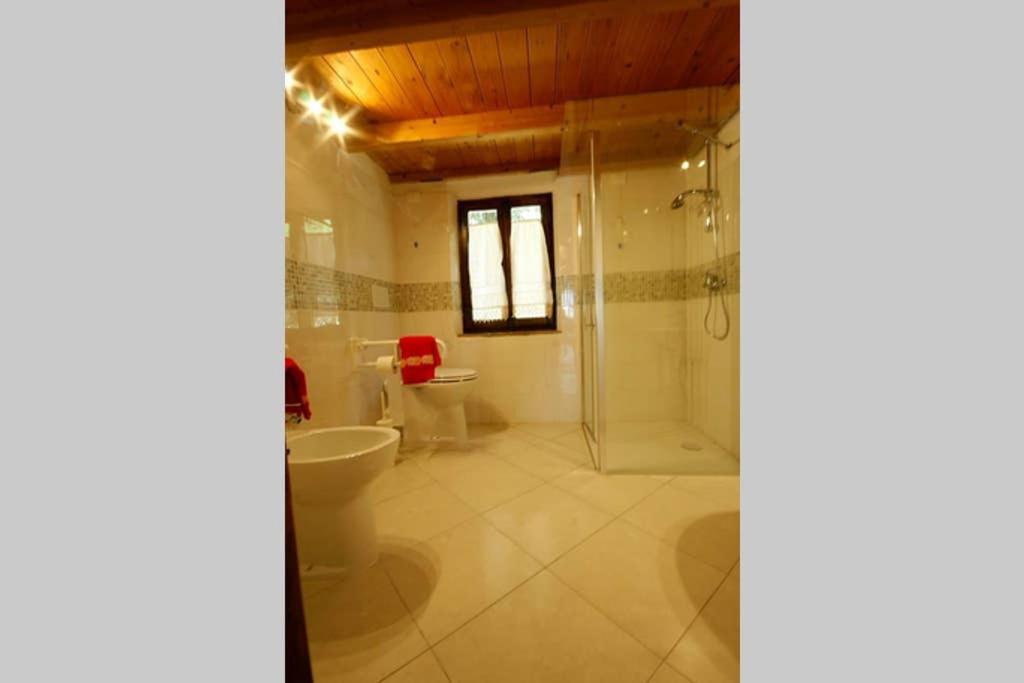 Villa Con Piscina 10 Posti Letto, L'Oliveta Di Rivalto 基亚恩尼 外观 照片