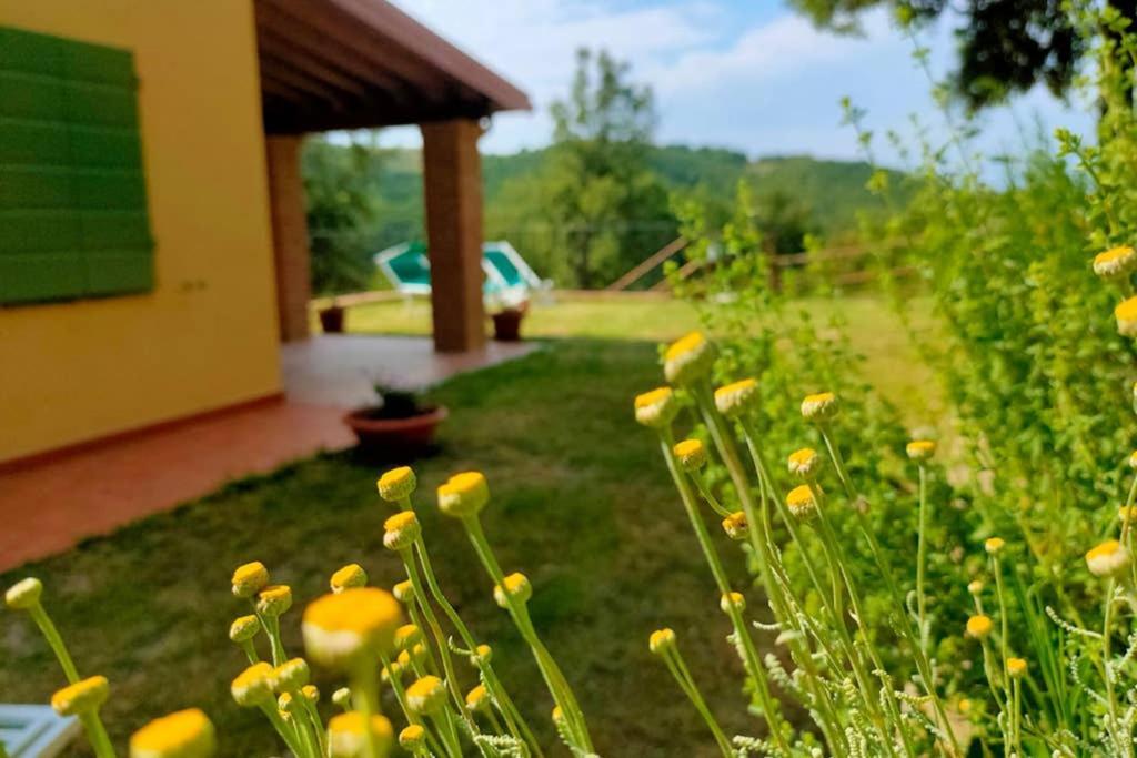 Villa Con Piscina 10 Posti Letto, L'Oliveta Di Rivalto 基亚恩尼 外观 照片