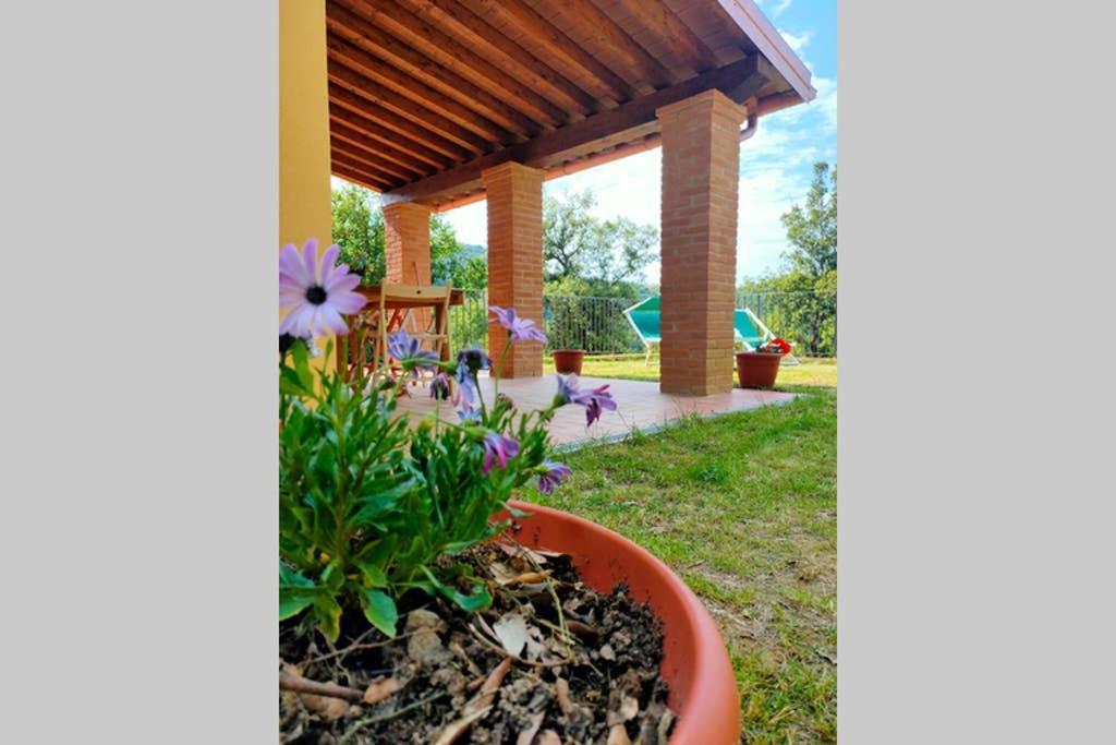 Villa Con Piscina 10 Posti Letto, L'Oliveta Di Rivalto 基亚恩尼 外观 照片