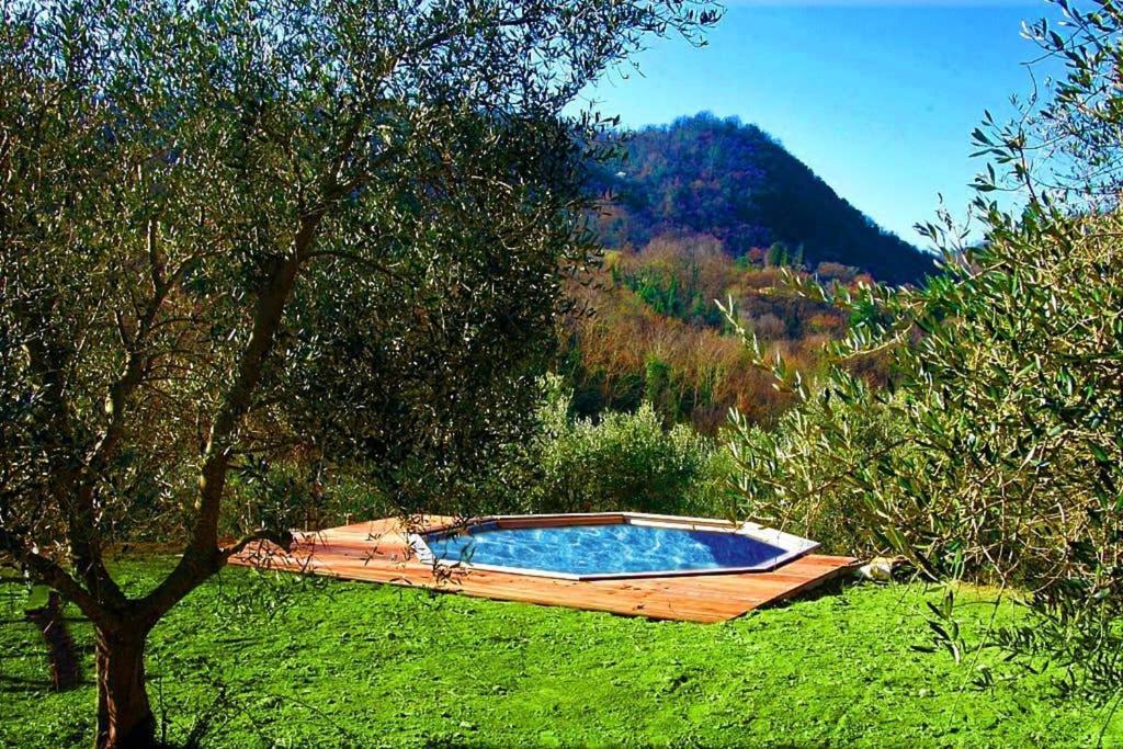 Villa Con Piscina 10 Posti Letto, L'Oliveta Di Rivalto 基亚恩尼 外观 照片