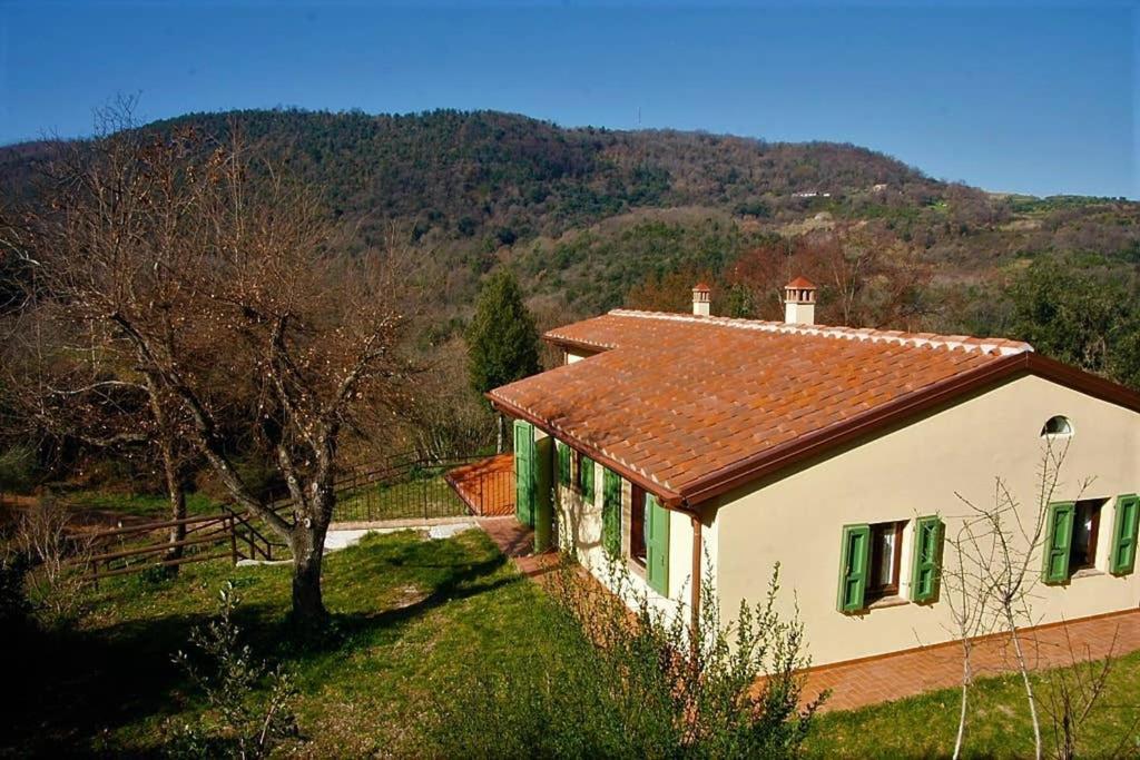 Villa Con Piscina 10 Posti Letto, L'Oliveta Di Rivalto 基亚恩尼 外观 照片