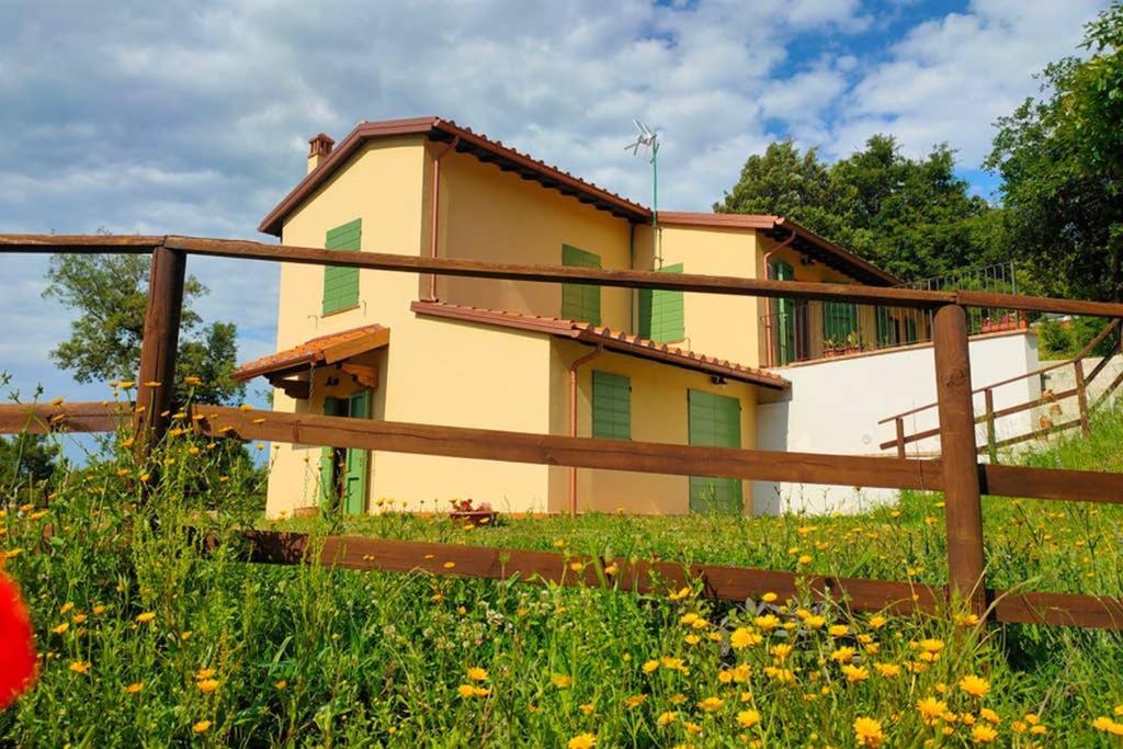 Villa Con Piscina 10 Posti Letto, L'Oliveta Di Rivalto 基亚恩尼 外观 照片