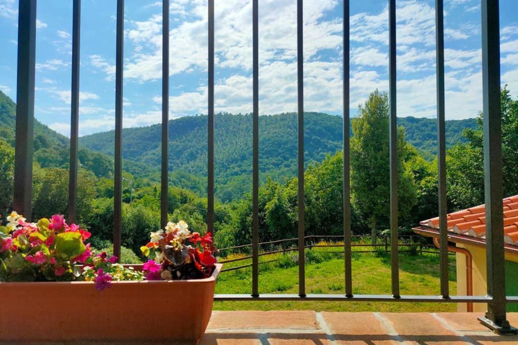 Villa Con Piscina 10 Posti Letto, L'Oliveta Di Rivalto 基亚恩尼 外观 照片