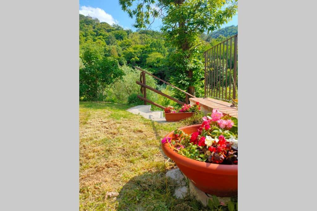 Villa Con Piscina 10 Posti Letto, L'Oliveta Di Rivalto 基亚恩尼 外观 照片
